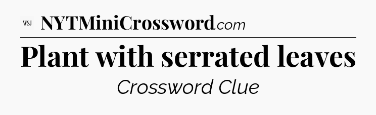 Plant with serrated leaves - WSJ Crossword
