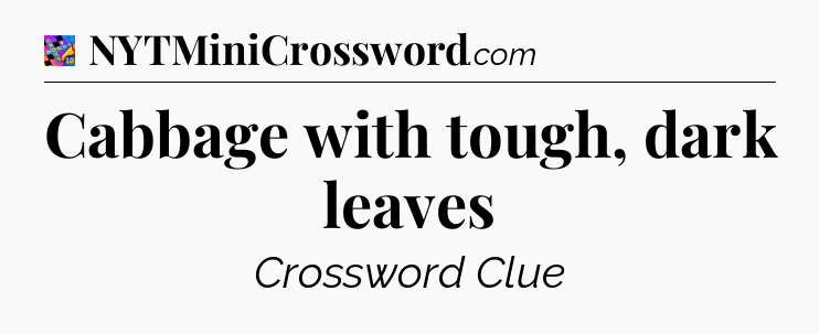 Cabbage with tough, dark leaves Crossword Clue