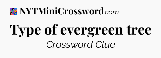 Type of evergreen tree Crossword Clue