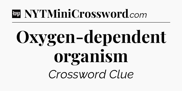 Oxygen-dependent organism Crossword Clue