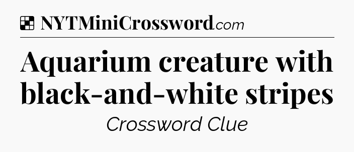 Solution: Aquarium creature with black-and-white stripes - NYT Crossword