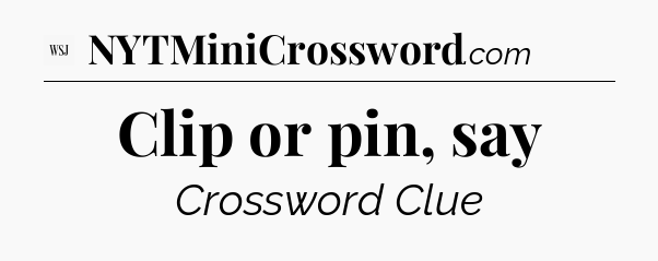 Clip or pin, say - WSJ Crossword