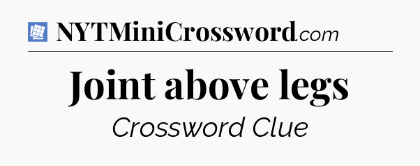 Joint above legs Puzzle Page Crossword Clue