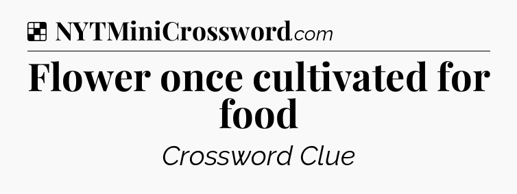 Solution: Flower once cultivated for food - NYT Crossword