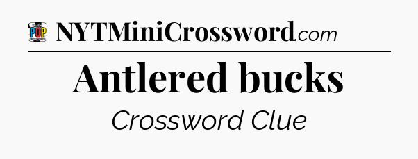 Antlered bucks Crossword Clue