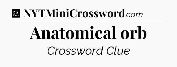 Anatomical orb - LA Times Crossword