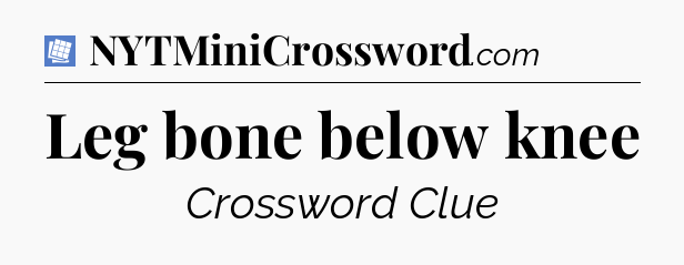 Leg bone below knee Puzzle Page Crossword Clue