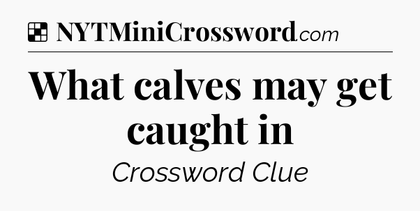 Solution: What calves may get caught in - NYT Crossword