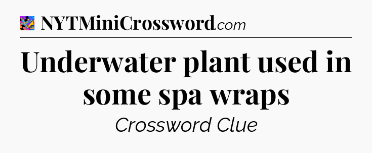 Underwater plant used in some spa wraps Crossword Clue