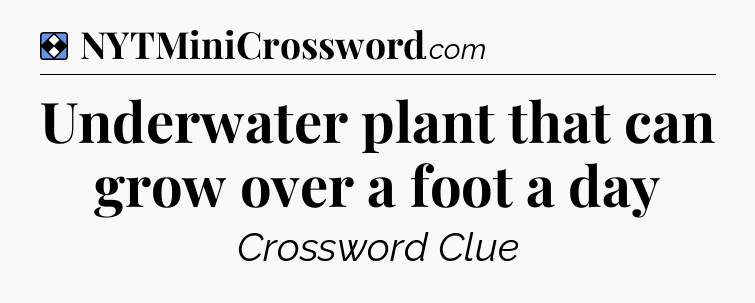 Solution: Underwater plant that can grow over a foot a day - NYT Mini Crossword