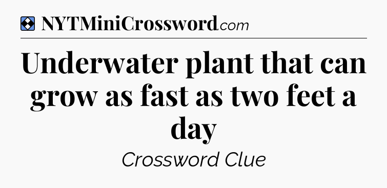 Solution: Underwater plant that can grow as fast as two feet a day - NYT Mini Crossword