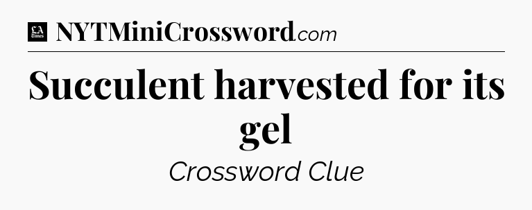 Succulent harvested for its gel - LA Times Crossword