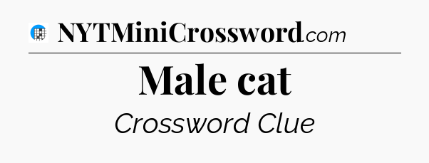 Male cat Crossword Clue