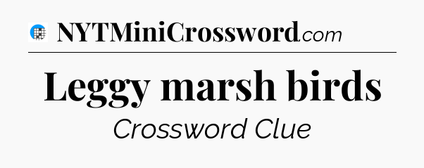 Leggy marsh birds Crossword Clue