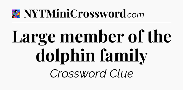 Large member of the dolphin family Crossword Clue