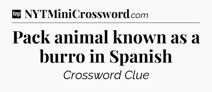 Pack animal known as a burro in Spanish Crossword Clue