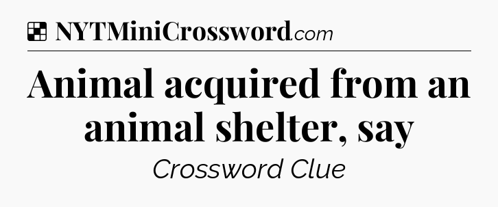 Solution: Animal acquired from an animal shelter, say - NYT Crossword