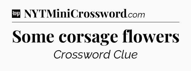 Some corsage flowers Crossword Clue