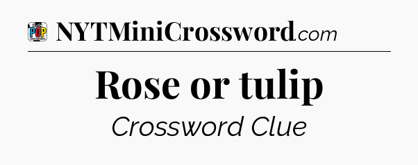 Rose or tulip Crossword Clue