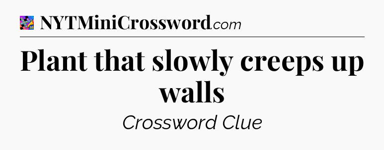 Plant that slowly creeps up walls Crossword Clue