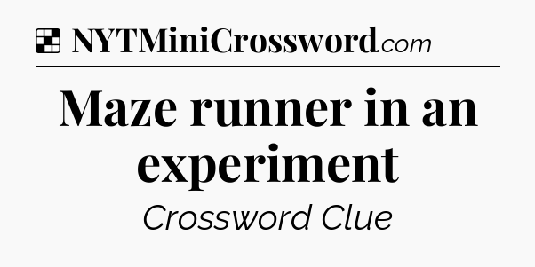 Solution: Maze runner in an experiment - NYT Crossword