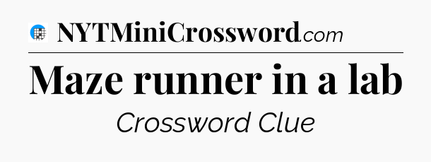 Maze runner in a lab Crossword Clue