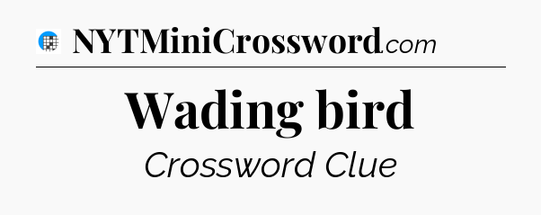 Wading bird Crossword Clue