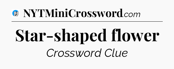 Star-shaped flower Crossword Clue