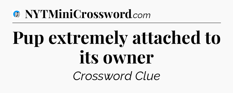 Pup extremely attached to its owner Crossword Clue