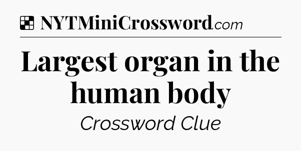Solution: Largest organ in the human body - NYT Crossword