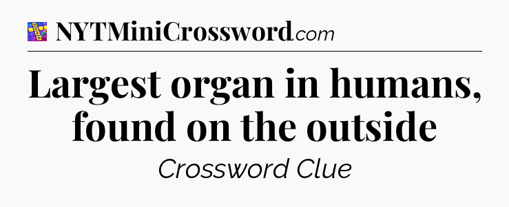 Largest organ in humans, found on the outside Codycross