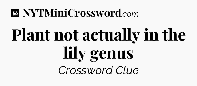 Plant not actually in the lily genus - LA Times Crossword