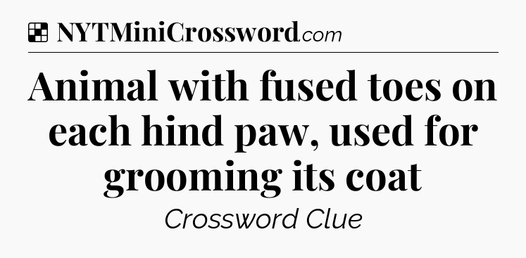 Solution: Animal with fused toes on each hind paw, used for grooming its coat - NYT Crossword