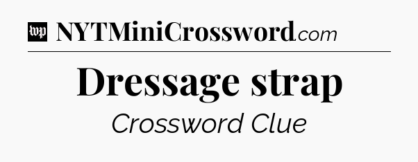 Dressage strap Crossword Clue