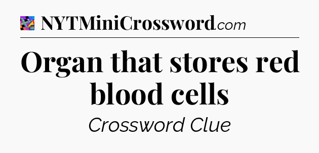 Organ that stores red blood cells Crossword Clue
