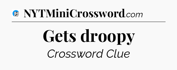 Gets droopy Crossword Clue