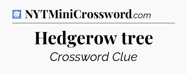 Hedgerow tree Puzzle Page Crossword Clue