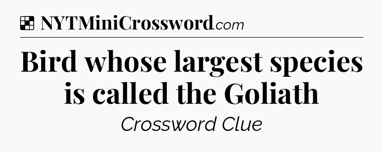 Solution: Bird whose largest species is called the Goliath - NYT Crossword
