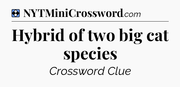 Solution: Hybrid of two big cat species - NYT Mini Crossword