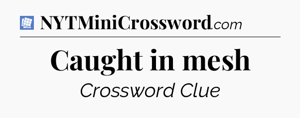 Caught in mesh Puzzle Page Crossword Clue