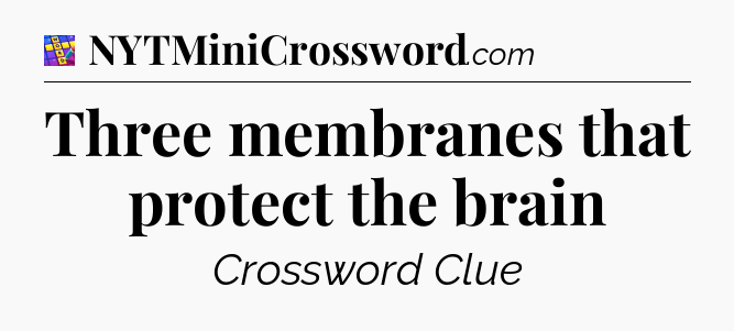 Three membranes that protect the brain Codycross