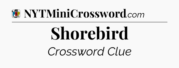 Shorebird Crossword Clue