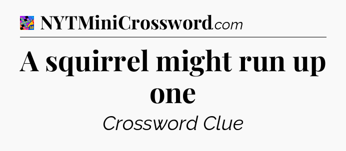 A squirrel might run up one Crossword Clue