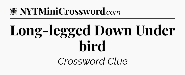 Long-legged Down Under bird Crossword Clue
