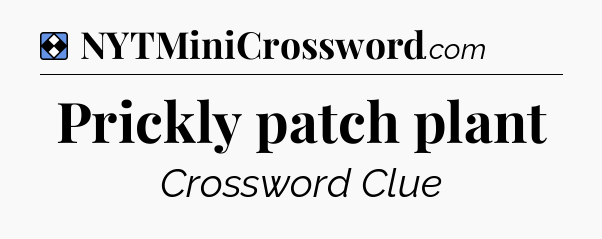 Solution: Prickly patch plant - NYT Mini Crossword