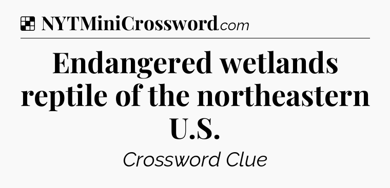 Solution: Endangered wetlands reptile of the northeastern U.S - NYT Crossword