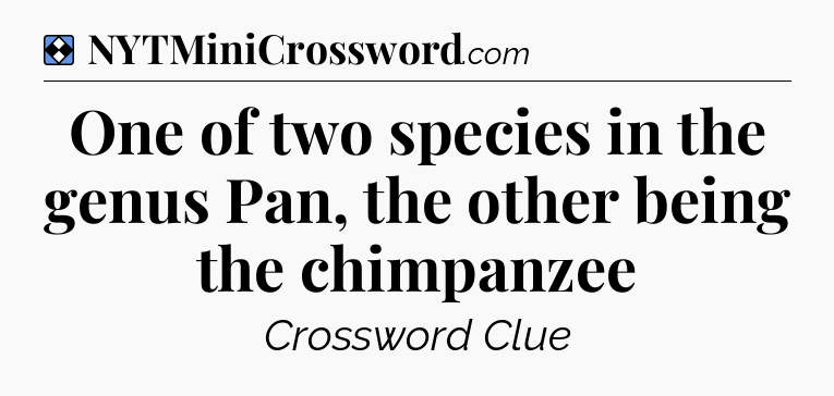 Solution: One of two species in the genus Pan, the other being the chimpanzee - NYT Mini Crossword
