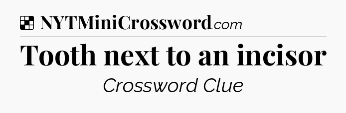 Solution: Tooth next to an incisor - NYT Crossword