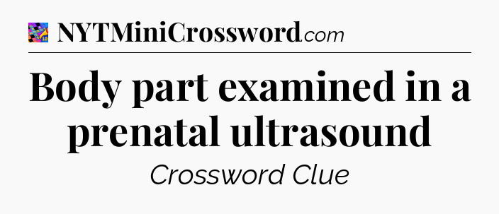 Body part examined in a prenatal ultrasound Crossword Clue