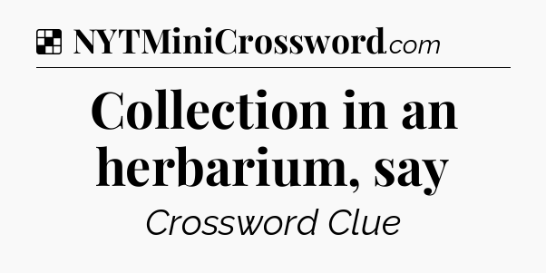 Solution: Collection in an herbarium, say - NYT Crossword